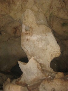 Cueva del Tesoro Noctiluca.