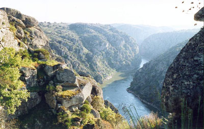 EL PARAÍSO OLVIDADO • LA RIQUEZA DE LOS ARRIBES DEL DUERO SIGUE AHÍ, PERO NADIE LA EXPLOTA