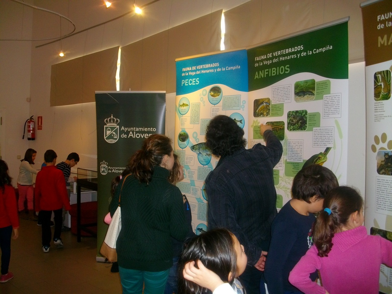 LA SALA DE EXPOSICIONES DE ALOVERA ACOGE A EXPOSICIÓN DE FAUNA DEL RÍO HENARES Y LA CAMPIÑA