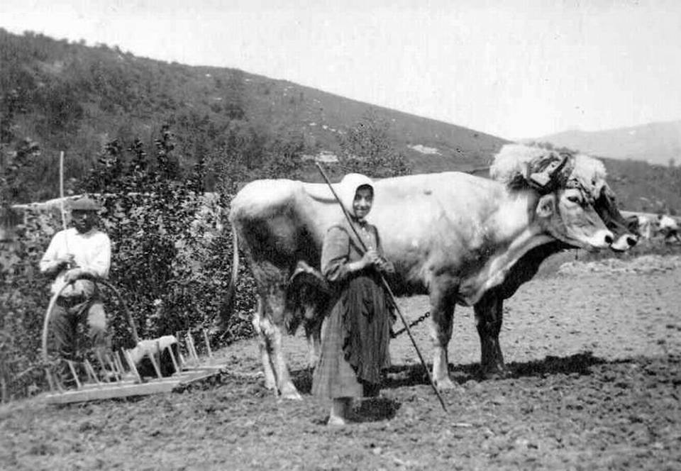 HOY, DÍA INTERNACIONAL DEL MUNDO CAMPESINO