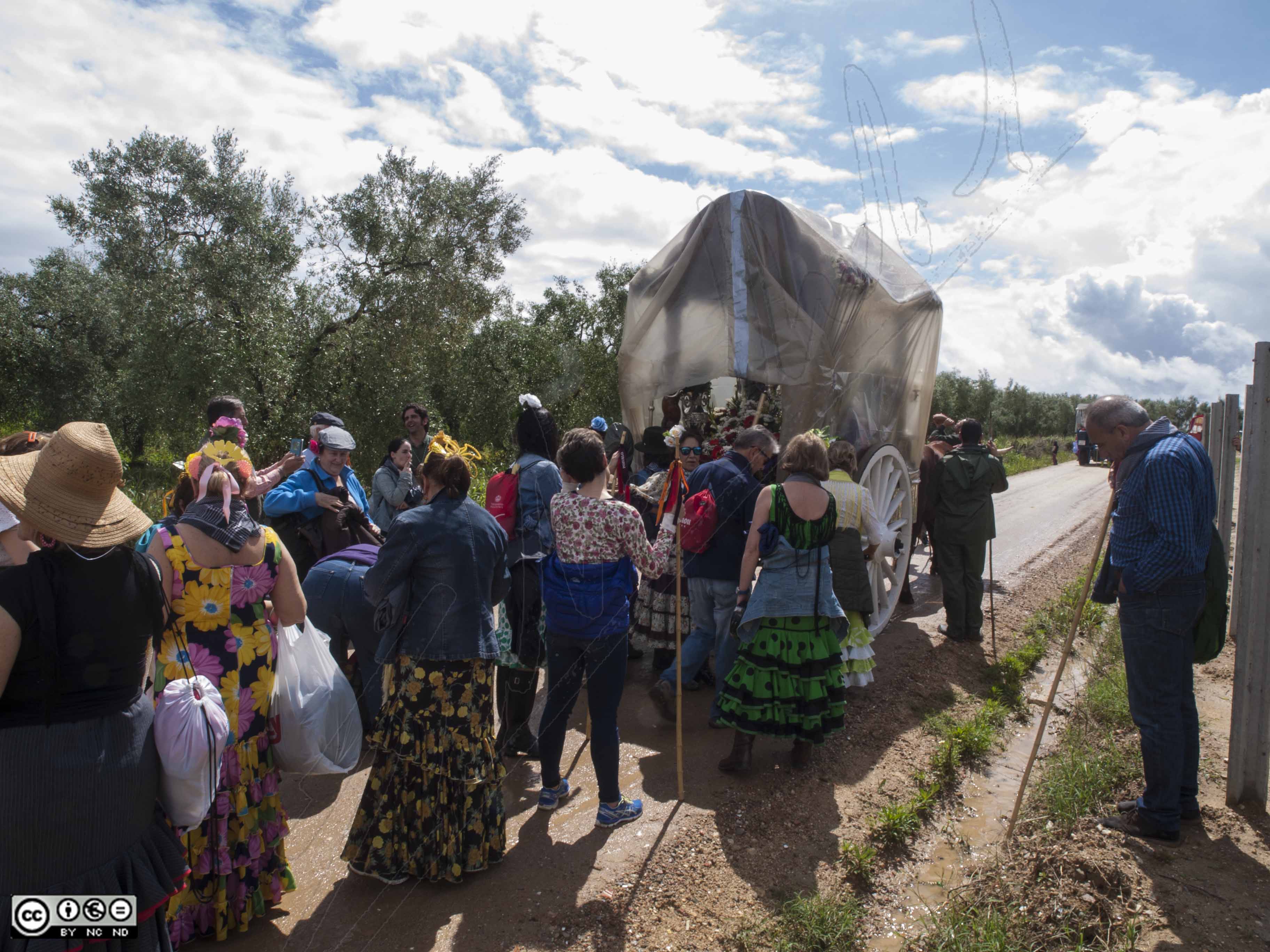 LA HERMANDAD DE POZUELO DE ALARCÓN CAMINO DEL ROCÍO