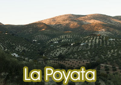 LA POYATA