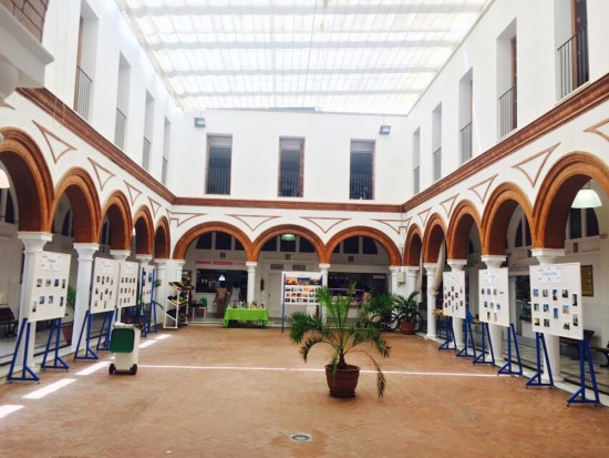 ‘EL MUELLE’ DE GALLERA BERNAL RECALA EN EL MERCADO CENTRAL DE ABASTOS DE LA ROTA (CÁDIZ)