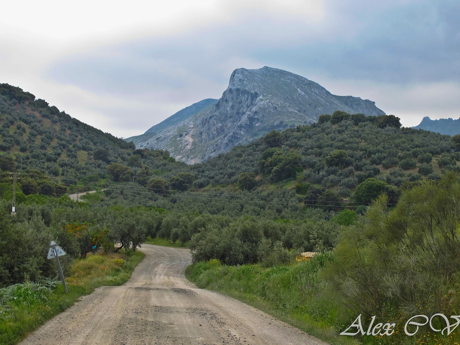 CAMINO DE LA MILANA Y NAVASEQUILLA