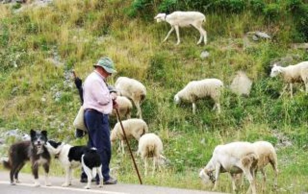 LUÍS EL MANCO Y SUS PERROS