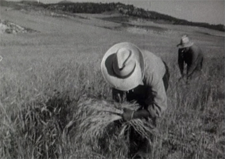 HOMBRES DE LA HUERTA Y EL CAMPO FORCAS, EL REY DE LAS LOMAS