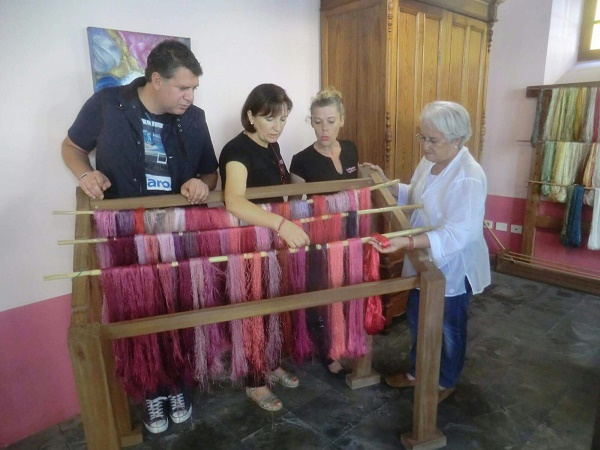 LA DIPUTADA Y CRONISTA OFICIAL DE LOS LLANOS DE ARIDANE (LAS PALMAS), MARÍA VICTORIA HERNÁNDEZ, PIDE QUE SE POTENCIE EL CULTIVO DE LA COCHINILLA