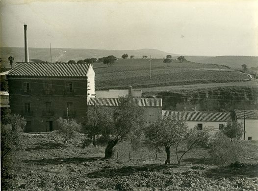 AQUEL MONTORO…. ZONA DEL LLANETE DE LOS MOROS