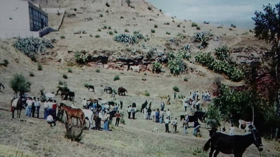 FERIA DEL GANADO