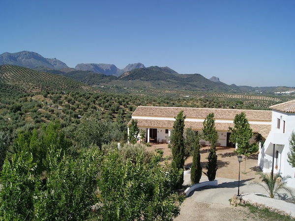 LLANO DE LAS SARDINAS, CAMINO DE QUIROGA Y EL CERRILLO DE PRIEGO DE CÓRDOBA