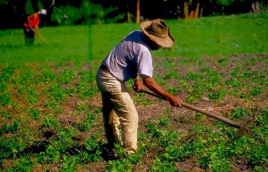 LA ESPERANZA DE LOS AGRICULTORES