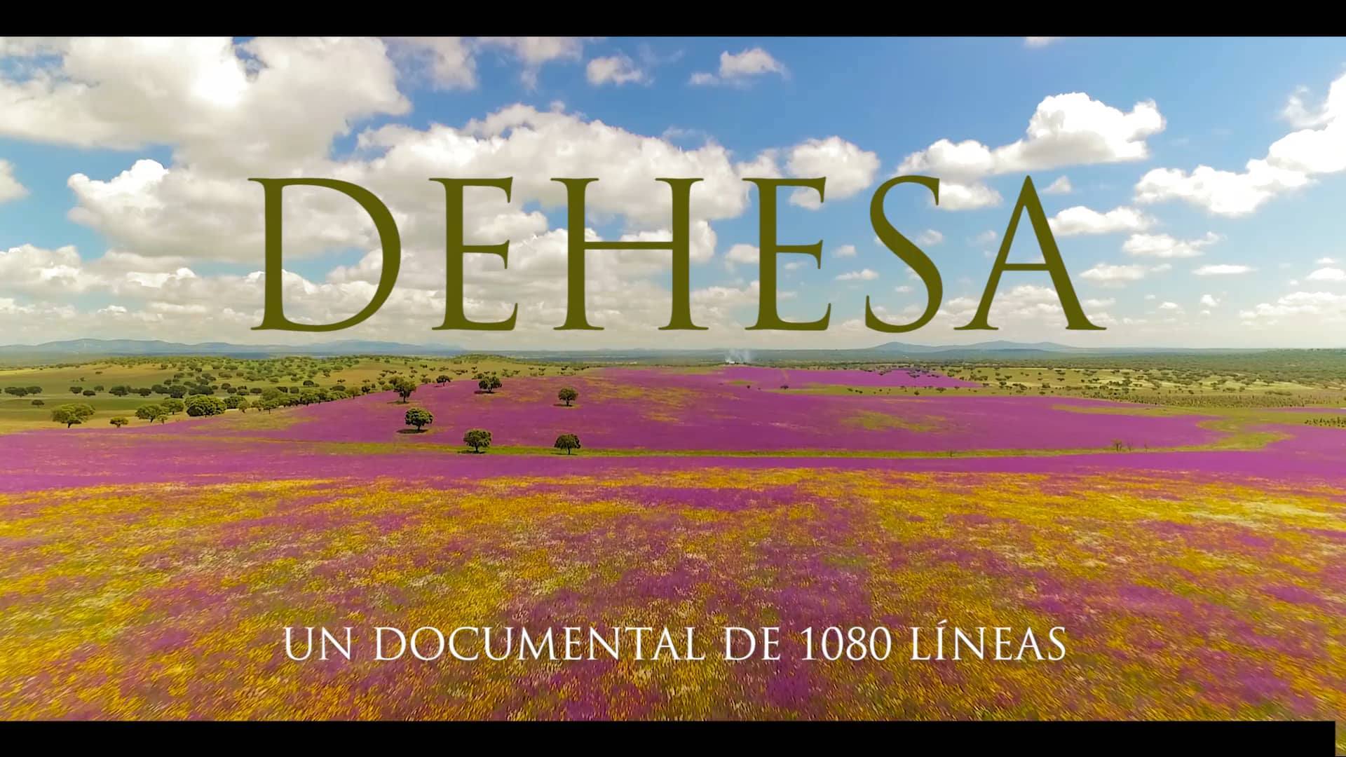 SE HA PRESENTADO LA PELÍCULA-DOCUMENTAL ‘DEHESA’