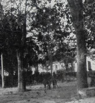 MANIFESTACIÓ CÍVICA DE SAGUNT • DES DE VALÈNCIA VA EIXIR UNA EXPEDICIÓ PER A RECORDAR ELS MÀRTIRS SAGUNTINS DE BETXÍ QUE ES CONCENTRÀ A LA GLORIETA