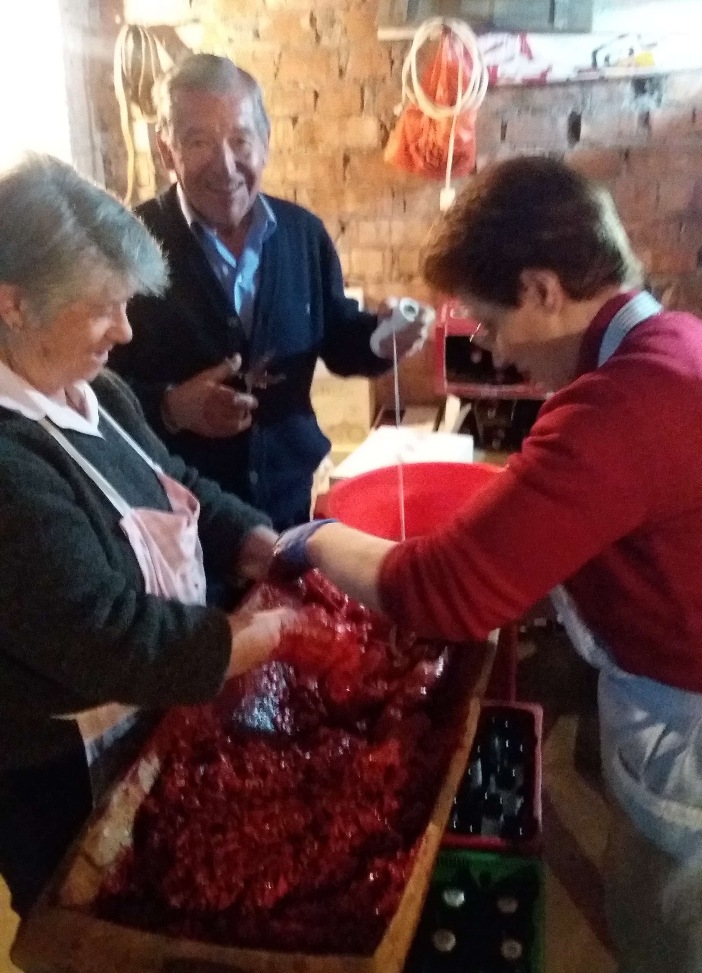 XI EDICIÓN DE UNA MATANZA TRADICIONAL EN CASLA (SEGOVIA)