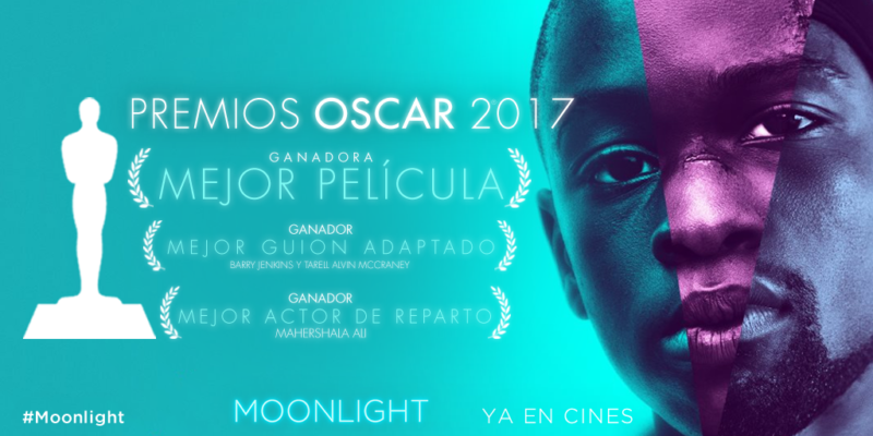 «MOONLIGHT»