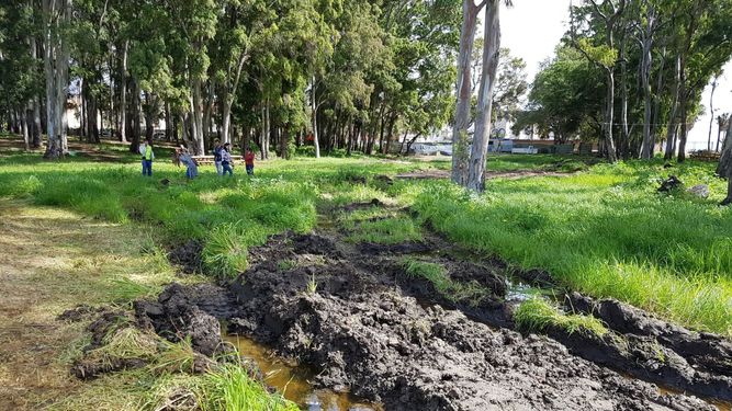 DENUNCIAN EN MARBELLA MOVIMIENTOS DE TIERRA JUNTO A RESTOS ARQUEOLÓGICOS • LAS ACTUACIONES HAN SACADO A LA SUPERFICIE RESTOS DE TEGULAS, CERÁMICAS, CLAVOS Y HUESOS