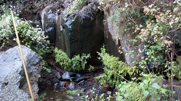 LAS GALLINAS QUE SALVABAN VIDAS A LOS RECIÉN NACIDOS EN LA PALMA • PARA AUMENTAR LA LECHE MATERNA, SE SOLÍA DAR RALEAS DE VINO CON GOFIO Y CALDO DE GALLINA NEGRA CON VASITO DE CERVEZA. EL BATIDO DE YEMAS DE HUEVOS CON AZUFRE, REMEDIO PARA LOS NIÑOS CON VEJIGAS EN LA BOCA