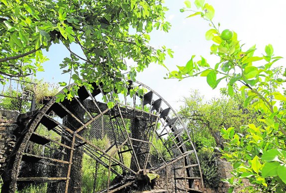 EL VALLE DE RICOTE PROMUEVE SU PATRIMONIO NATURAL Y CULTURA • DEL 27 DE ABRIL AL 1 DE MAYO, LA CARRAHILA CELEBRA LAS IV JORNADAS DE INVESTIGACIÓN Y DIVULGACIÓN