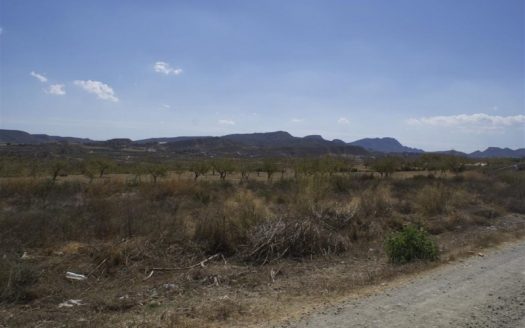 ANIORTES Y SAEZ NACIDOS EN LAPEDANIA ORIOLANA DE TORREMENDO