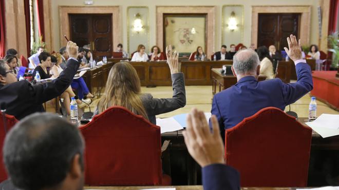 EL PLENO DE MURCIA APRUEBA POR UNANIMIDAD LA CREACIÓN DE UN CONSEJO ASESOR DE PATRIMONIO