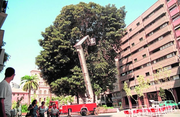 UN SÍMBOLO DE LA CIUDAD QUE CUMPLE 125 AÑOS DE HISTORIA