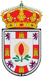 LOS CRONISTAS OFICIALES DE LA CIUDAD DE GRANADA: DE FRANCISCO DE PAULA VALLADAR A TICO MEDINA, PASANDO POR EL MOTRILEÑO MANUEL RODRÍGUEZ MARTÍN Y OTROS CRONISTAS OFICIALES DE LA PROVINCIA