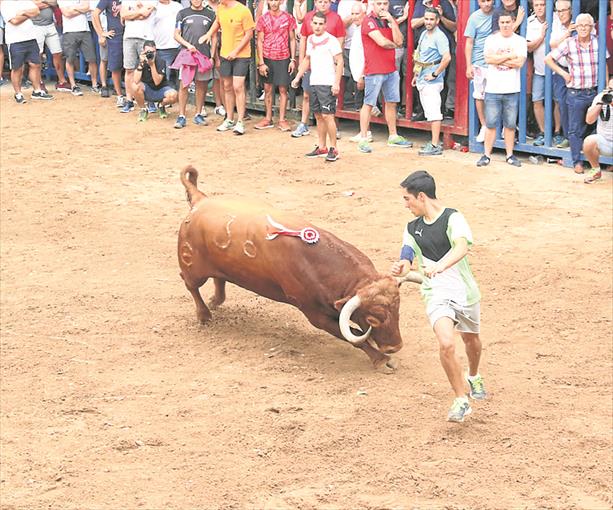 LOS CERRILES PROTAGONIZAN EL DÍA DEL ‘BOU DE VILA’ DE L’ALCORA (CASTELLÓN)