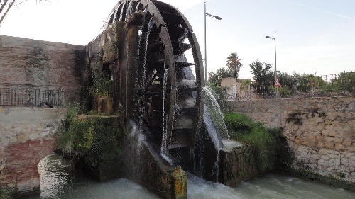 ACTOS DEL 50 ANIVERSARIO DEL MUSEO DE LA HUERTA (MURCIA)