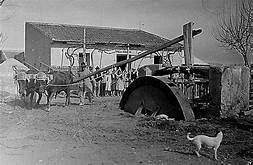 LOS CAMINOS DE LA HUERTA MURCIANA