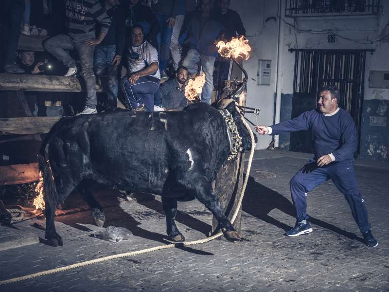 JÉRICA Y NOVALICHES (VALENCIA): LAS DOS REFERENCIAS MÁS ANTIGUAS DE TOROS DE CALLE DE LA COMUNIDAD VALENCIANA