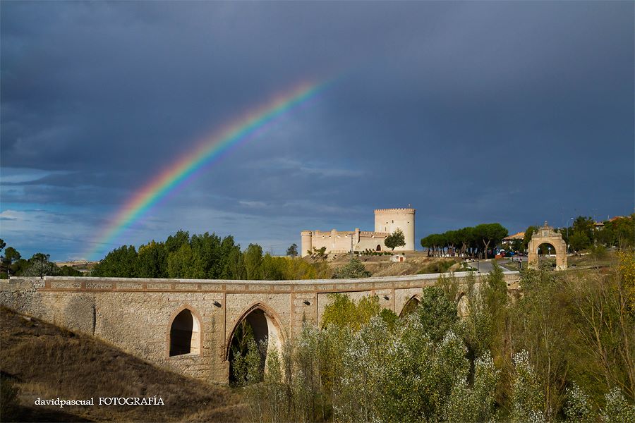 DESDE MI TORRE MUDÉJAR. 598. AÑO NUEVO, Y LA VIDA CONTINÚA