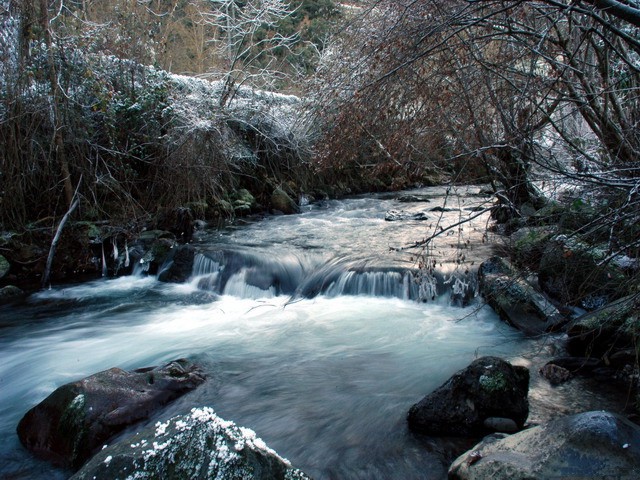 OVE Y DIVA (ASTURIAS)