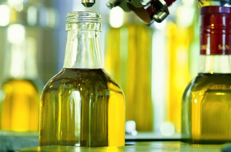 LOS ACEITES ANDALUCES REPRESENTAN MÁS DEL 40% DE LAS MUESTRAS EUROPEAS DE LA X CATA INTERNACIONAL DEL CERTAMEN CINVE