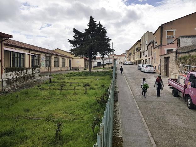 EL MADRUELO DE CÁCERES BUSCA RECUPERAR SU MEMORIA • LOS VECINOS DEL CASCO VIEJO CELEBRAN MAÑANA UNA JORNADA PARA RESCATAR LOS RECUERDOS DEL COLEGIO A TRAVÉS DE SUS ANTIGUOS ALUMNOS