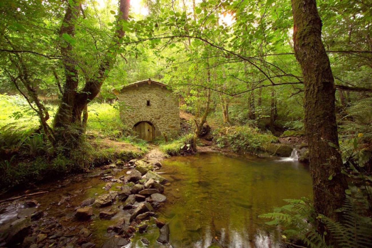 POR LOS CAMINOS DE BIMENES (ASTURIAS), CON SU CRONISTA OFICIAL LUIS MIGUEL MONTES ARBOLEYA