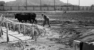 EL VIEJO CAMPO DE LOS ARCOS