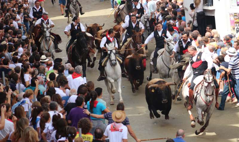 DENSA JORNADA TAURINA EN SEGORBE (CASTELLÓN) • LA CIUDAD RECIBE EL PREMIO NACIONAL A LA TRADICIONES TAURINAS POPULARES