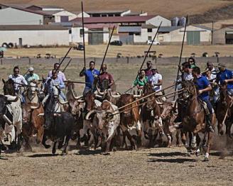 LOS ESPANTES SAUCANOS ASPIRAN AL «TRONO» • SE REABRE EL EXPEDIENTE PARA CONSEGUIR LA DECLARACIÓN DEL ESPECTÁCULO DE LA VISITACIÓN COMO FIESTA DE INTERÉS TURÍSTICO REGIONAL