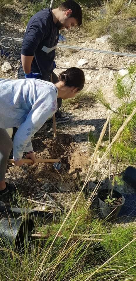 ¡¡VAMOS A REFORESTAR LOS MONTES DE ULEA!!