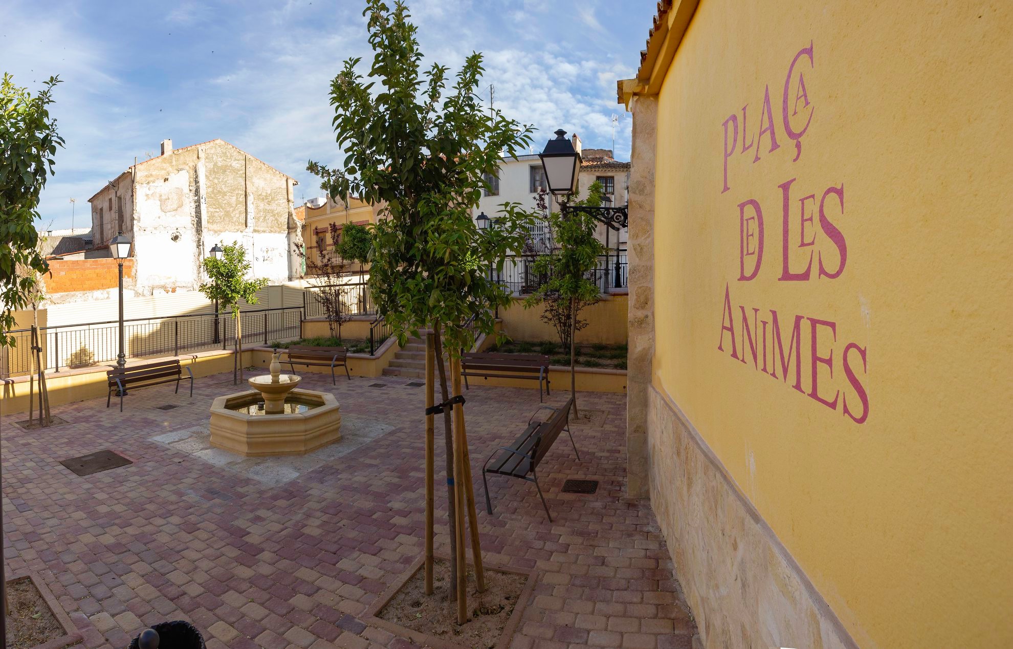 CARRER ÀNIMES