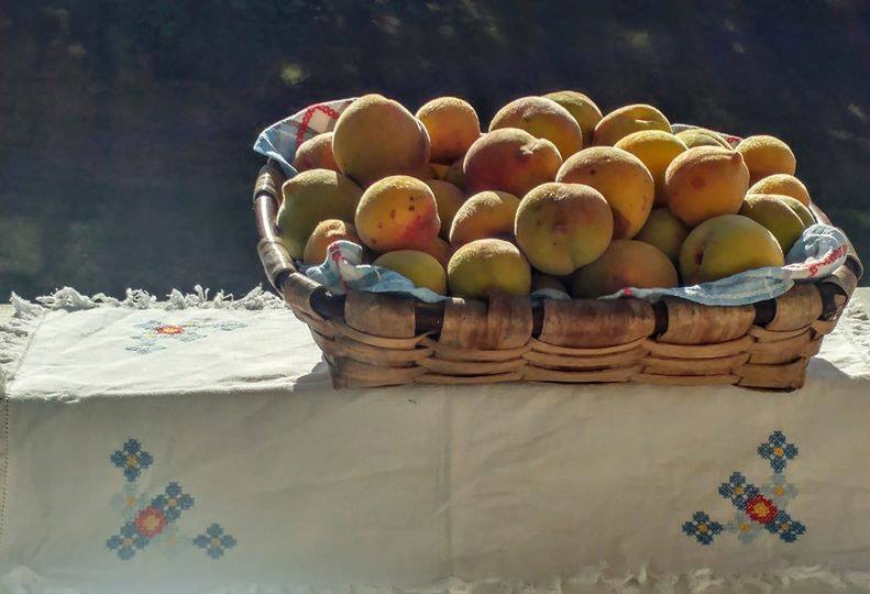 PIESCOS DE ASTURIAS, UN RECUERDO Y UNA AÑORANZA