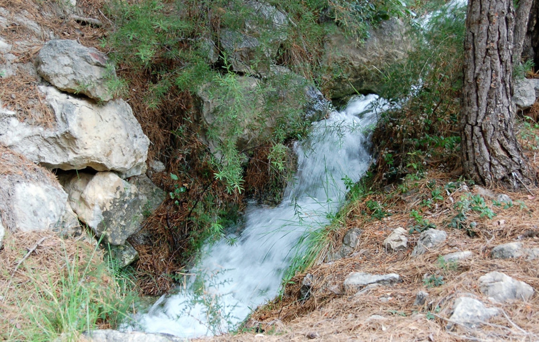 LA SEQUÍA Y EL APROVECHAMIENTO DE LAS AGUAS DEL RÍO DEL CASTILLO EN 1841