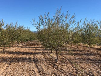 EL DÍA MÁS LARGO DE OCTUBRE…