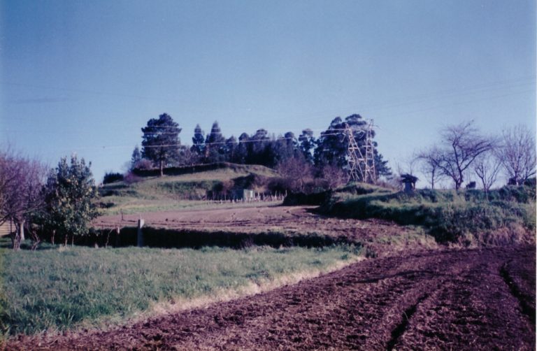 LA TORRE DE INSUA EN SAN PANTALEÓN DAS VIÑAS, DE FORTALEZA MEDIEVAL A CASAL