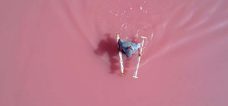 EL DOCUMENTAL «ARTESANOS DE LA SAL», AHORA EN ABIERTO.