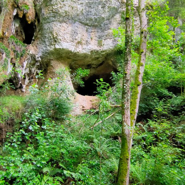 CUEVA DE EL TARAGAÑU (ASTURIAS) TAL VEZ YA HABITADA 14.000 AÑOS ANTES DE CRISTO