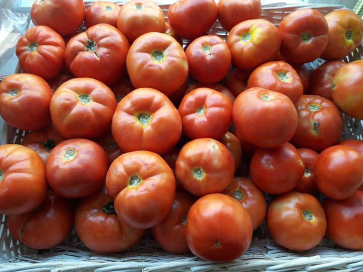 UN TOMATE CON SAL. SABORES DE MONTIJO