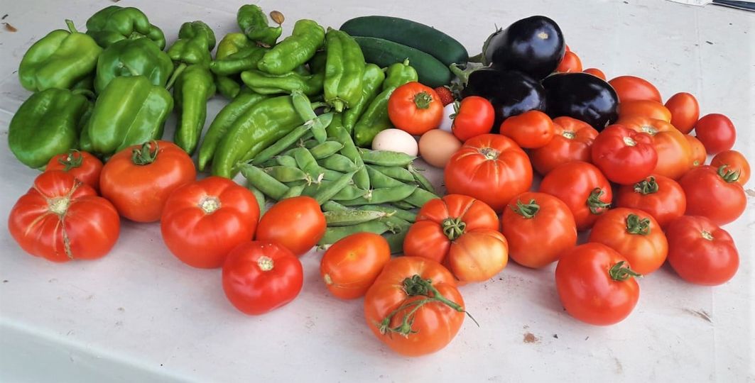 SABORES DE HUERTA EN TIEMPOS DE CANÍCULA