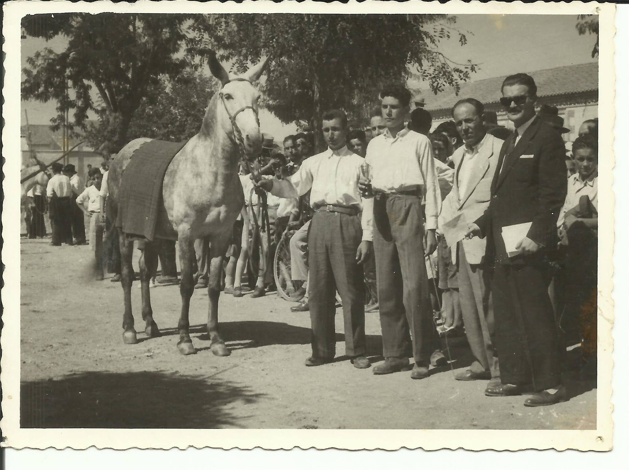 TIEMPO PARA ENFERIAR. 159 FERIA Y FIESTAS PATRONALES DE MONTIJO, 1862-2021.