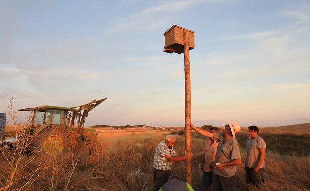 SALUDO FUENTEPIÑELANO 2816 -RECUPERACIÓN DE LA AVIFAUNA